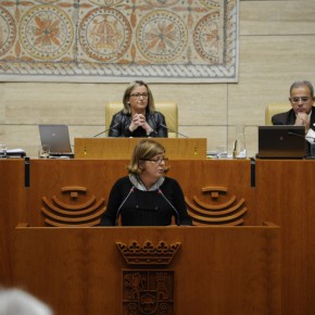 Victoria Domínguez: “El rechazo a los Presupuestos es fruto de una nueva forma de hacer política”.