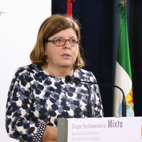 Victoria Domínguez reitera a la Junta que debe explicar la reforma fiscal que llevará a cabo en 2016.