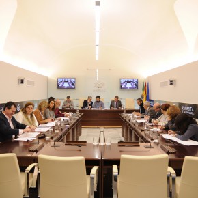 Victoria Domínguez pide a la Junta que los presupuestos de 2016 incluyan una partida para el colegio de Cerro Gordo