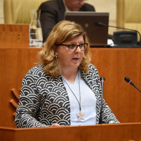 Victoria Domínguez: “La intervención subsidiaria de la Junta en montes privados tiene que cumplir todas las garantías legales”