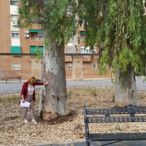 Julia Timón solicita medidas urgentes para paliar el “abandono y dejadez” que sufre la barriada Santa Marina de Badajoz