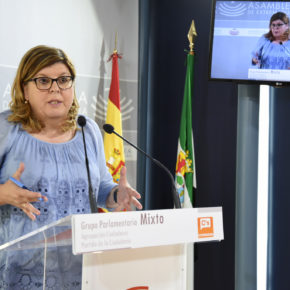 Victoria Domínguez: “Es necesario que Extremadura cree empleo menos precario y más estable”