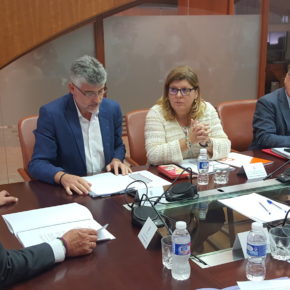 Victoria Domínguez: “Nos felicitamos por la unidad y apoyamos las medidas en el marco del Pacto por el Ferrocarril”