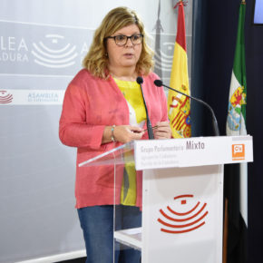 Victoria Domínguez: “La Junta acepta la propuesta de Ciudadanos sobre el impuesto de sucesiones”