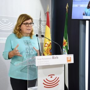 Victoria Domínguez: “Los datos del paro evidencian que las políticas repetitivas de la Junta no surten efecto”