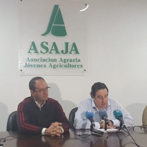 Cayetano Polo defiende que Extremadura tenga una consejería de Agricultura “en exclusiva” y no una consejera “a tiempo parcial”