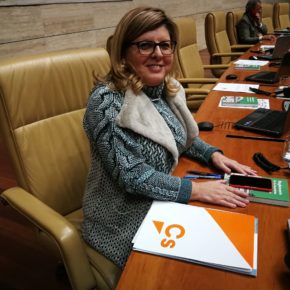 Victoria Domínguez: “Ciudadanos defiende y garantiza la igualdad todos los españoles, el derecho a la Educación y a la libertad de enseñanza”