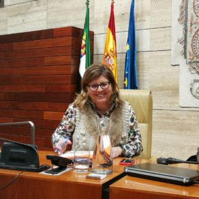 La Asamblea aprueba la petición de Ciudadanos para solicitar al Gobierno 885.000 euros del programa Proeducar para combatir el fracaso escolar